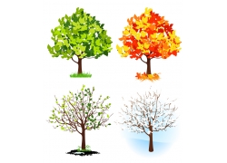 树木的四季变化图片