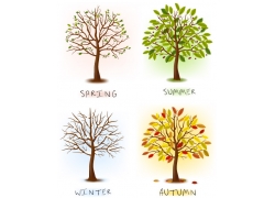 树木的四季变化图片