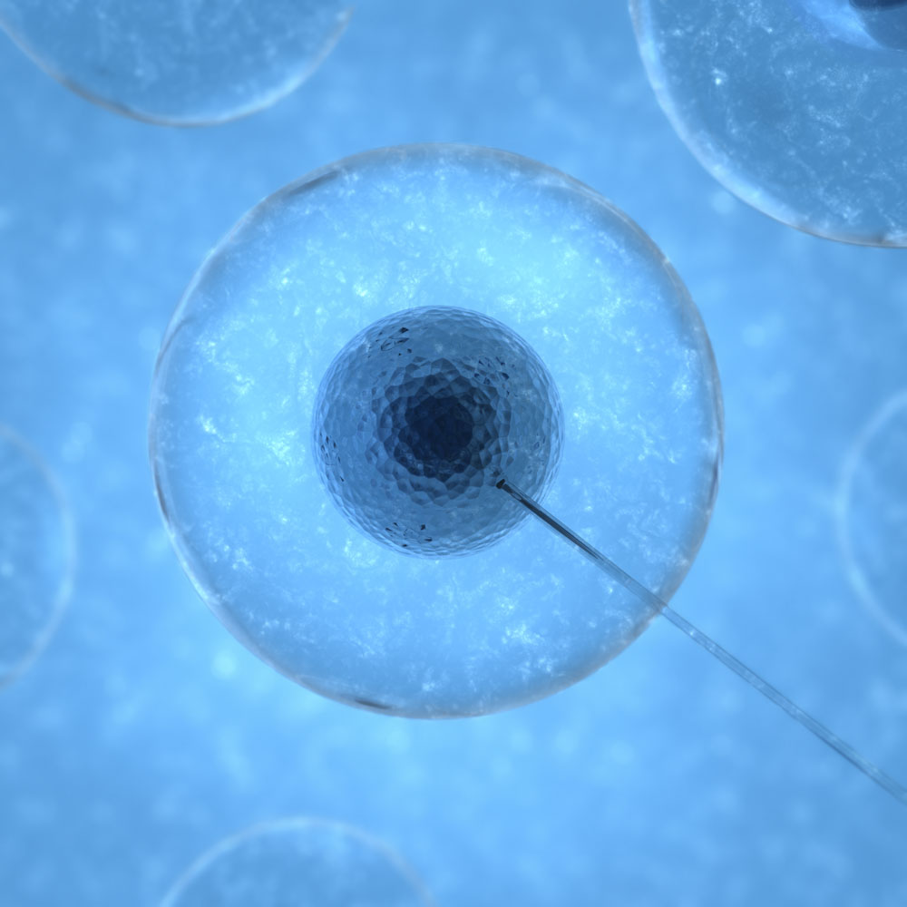 显微镜下的细胞高清图片,细胞,显微镜,放大,细胞核,细胞膜,实验,蓝色