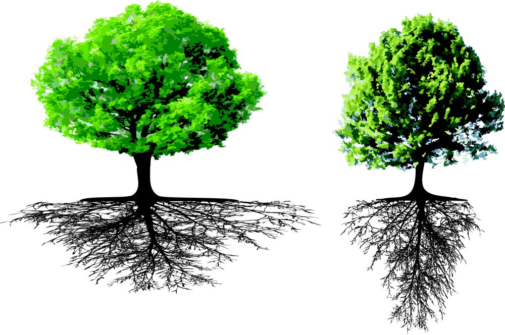 树木素材免费下载,连根的树木高清图片,连根的树木,树叶,树,树木,大树