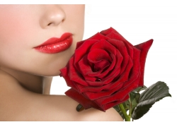 玫瑰花与性感女人