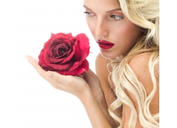 玫瑰花与性感美女
