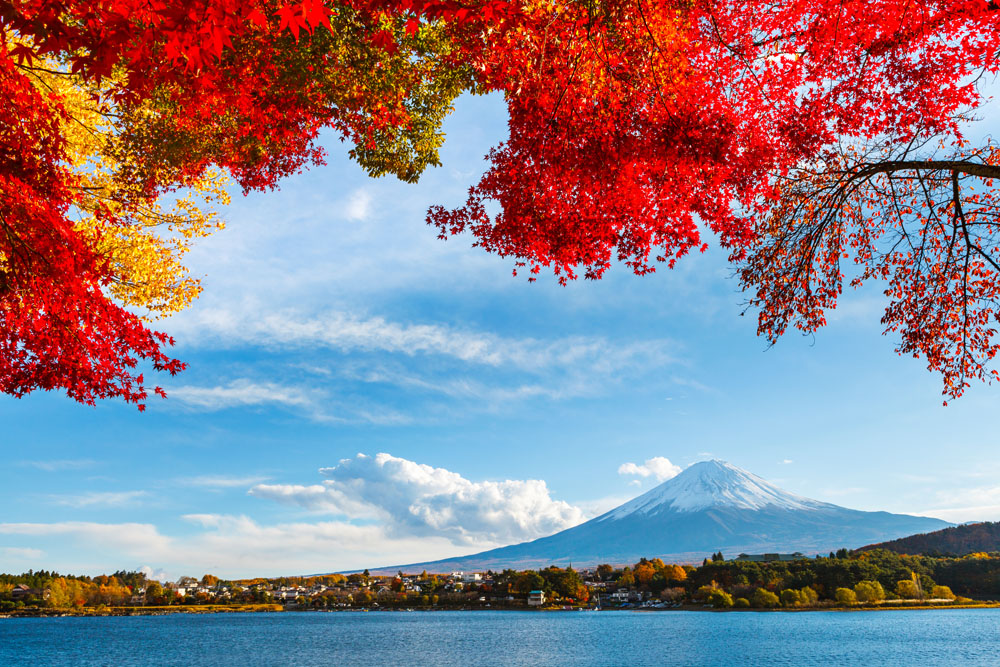 秋季美丽的富士山图片下载 图片id 山水风景 图片素材 蓝图网lanimg Com