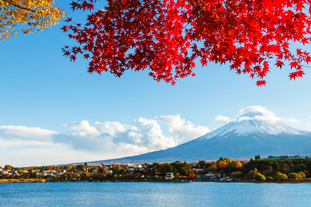 红色枫叶下的富士山图片下载 图片id 3633 山水风景 图片素材 蓝图网lanimg Com